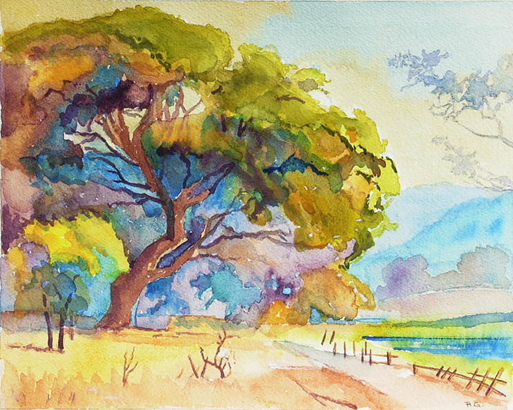 Carmel-V
