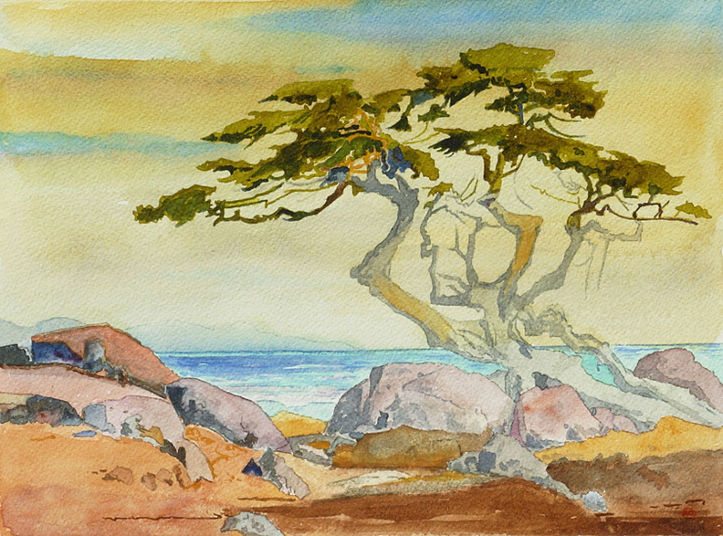 Carmel-IX