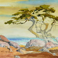 Carmel-IX