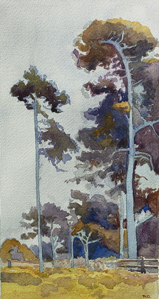 Carmel-VII