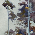 Carmel-VII