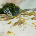 Carmel-VIII