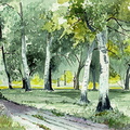 Etude-in-Green