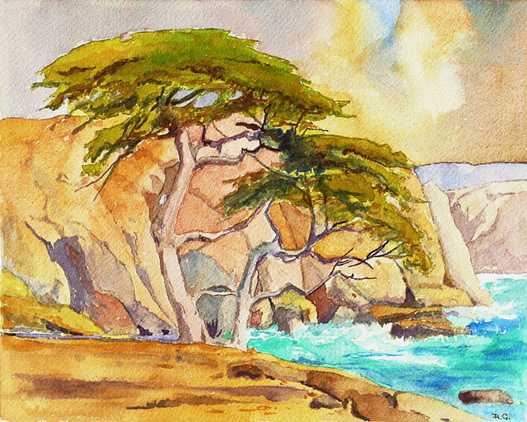 Carmel-X