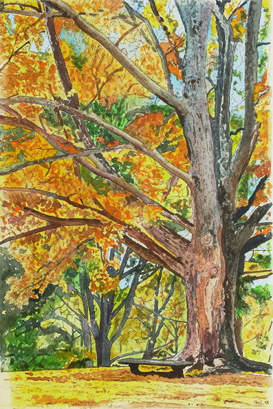 Forest-II