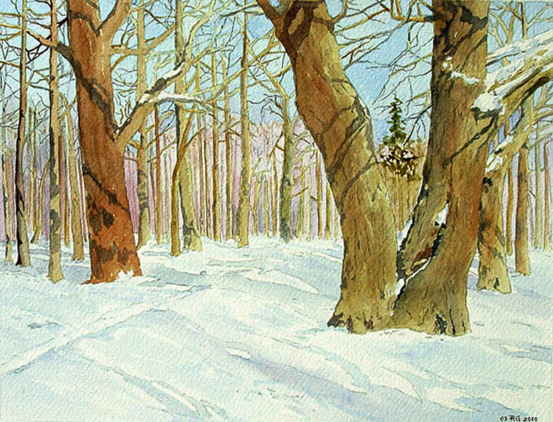 Forest-III