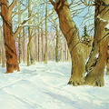 Forest-III