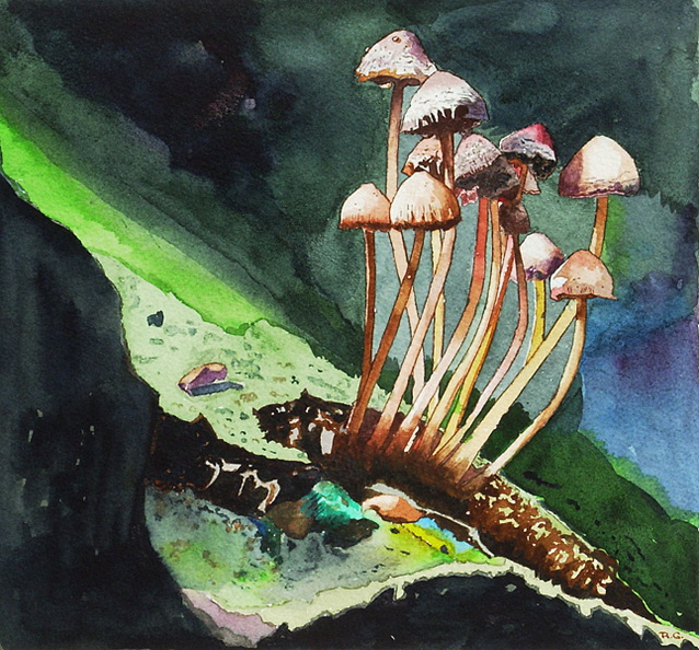Mushrooms