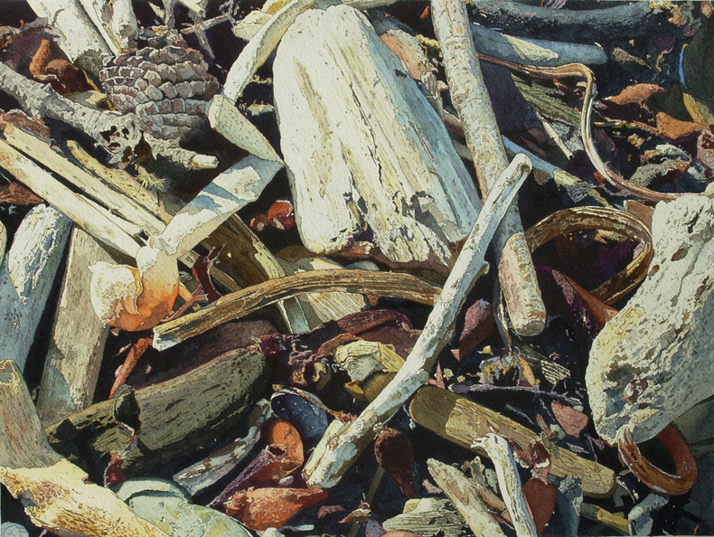 Point-Lobos-Memories