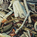 Point-Lobos-Memories