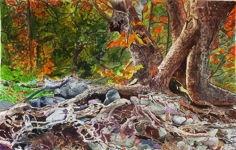 Roots