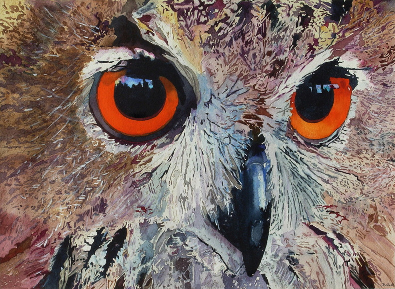 The Owl