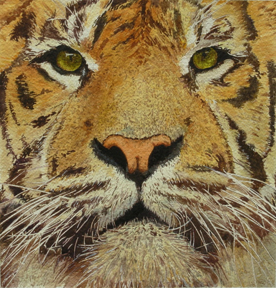 Tiger1
