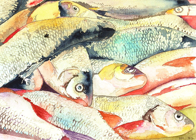 Fish II