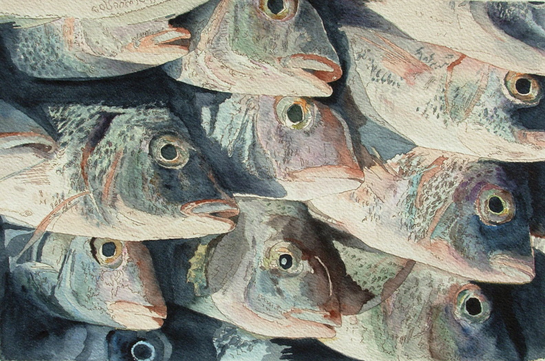 Fish-III